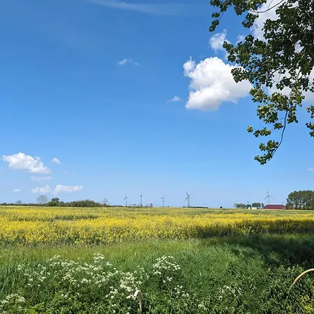 Nyaraló Huus Meta *