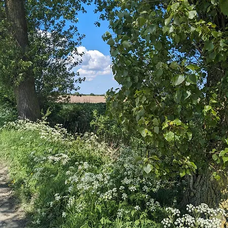 Huus Meta Nyaraló *